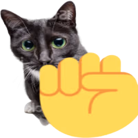 raisefistcat emote