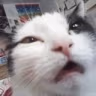 whaaaa emote
