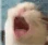 aaa emote