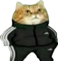 AdidasCat static emote
