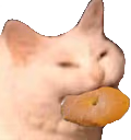 CatCookie emote