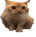 spoingJam animated emote