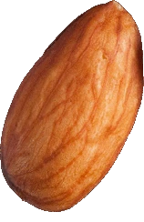 almond emote