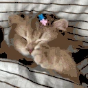 SleepyCat emote
