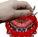 PETTHECACO emote