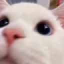 Hi emote