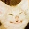 CE_Smile5 emote