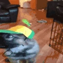 goober emote