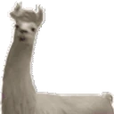 llamaJAM animated emote
