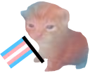 RobertTrans emote