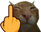 FYOUbuh emote