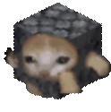 Basaltcatrun emote