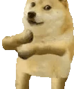 DogeDance emote