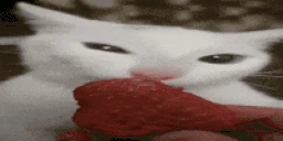 Strawberry emote
