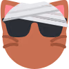 n67gj emote