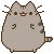 PusheenBounce emote