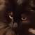 bunny_judge emote
