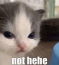 nothehe emote
