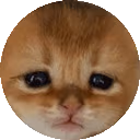 brahcircle emote