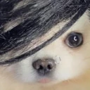 emo emote