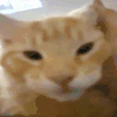 MyHonestReaction emote