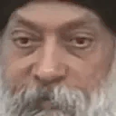 DEMOCRACY emote