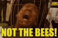 NOTTHEBEES emote