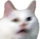 apolloHUH emote
