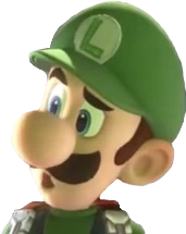 confused_luigi emote