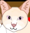funny_cat emote