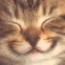 SmileCat emote