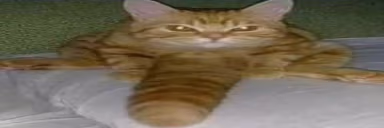 coce emote