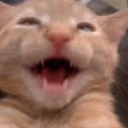 waahoo emote