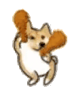 kfcDoge animated emote