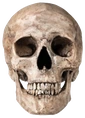 skullhd emote