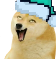 Doge_Christmas emote