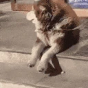PuppyWait emote