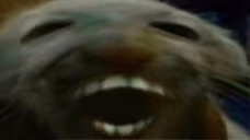 ddx emote