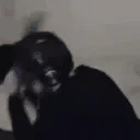 scorpionkeyboard emote