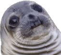 Wat emote