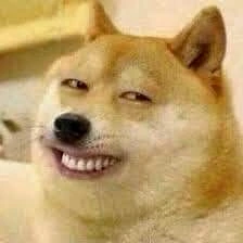 dogesmirk emote