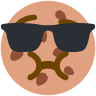 cool_cookie emote