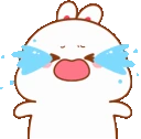 bunny_crying3 emote