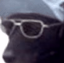 Confirmo_Zoom emote