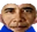 4Obama emote