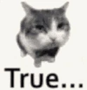 Truecat emote