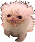 whisp emote
