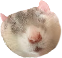 Sleeping_Rat emote