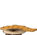 fishcatgif emote