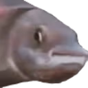 PauseChamp emote